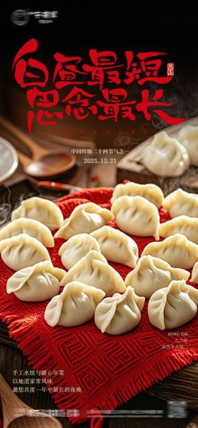 冬至节气水饺海报