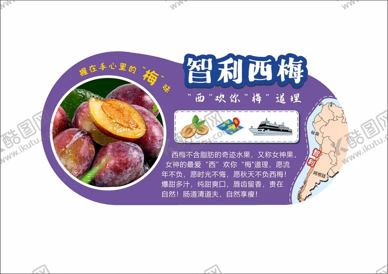 编号：58540001270634213770【酷图网】源文件下载-智利西梅文宣