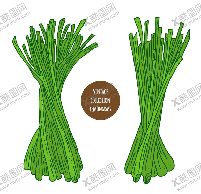 编号：72582910012316569858【酷图网】源文件下载-植物线稿