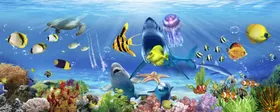 海底世界