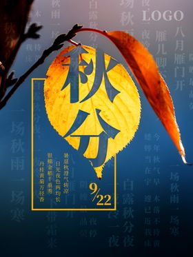 中国传统二十四节气秋分落叶海报