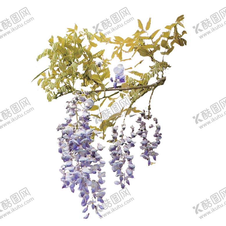 编号：28443610270237224378【酷图网】源文件下载-植物