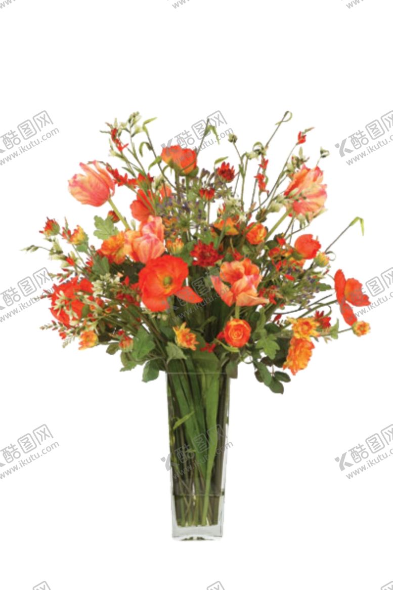 编号：43776509220519243421【酷图网】源文件下载-免抠背景花草树木