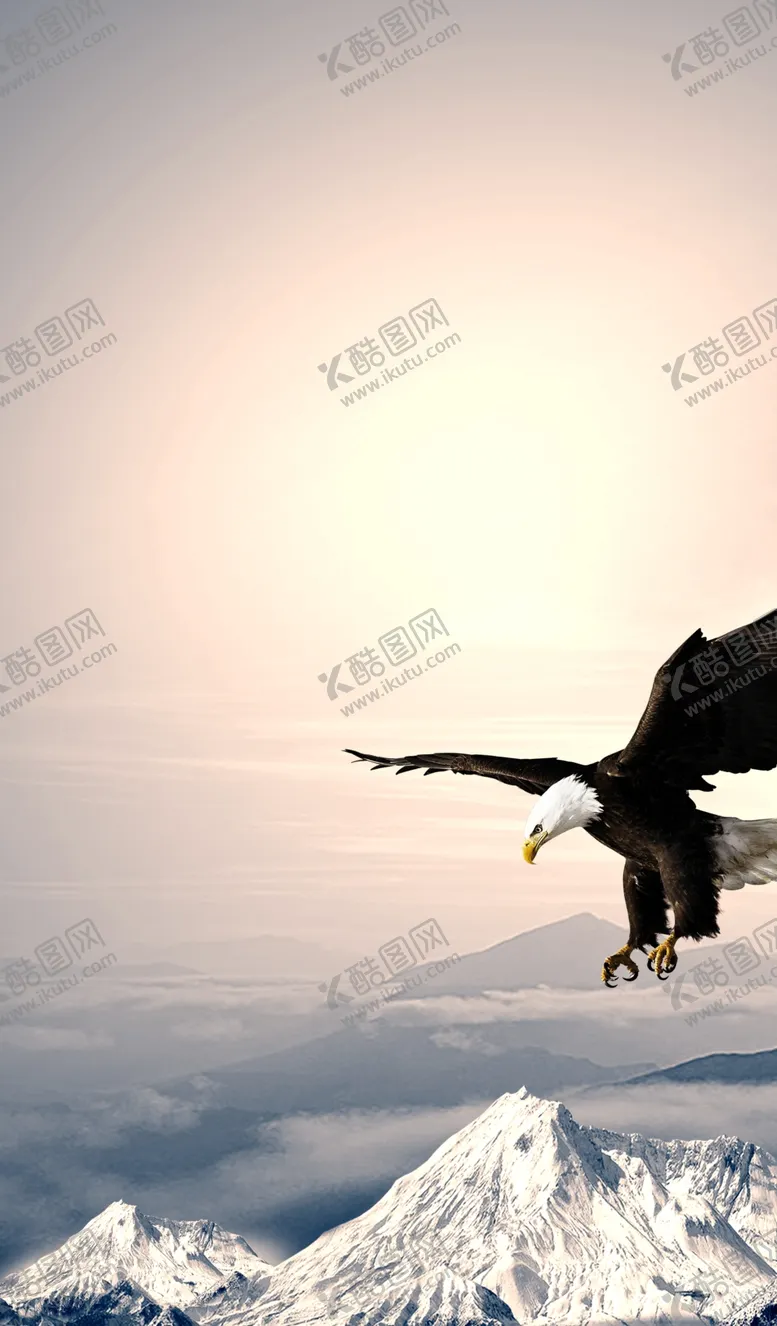 编号：37095407071245337349【酷图网】源文件下载-企业文化飞扬老鹰飘带
