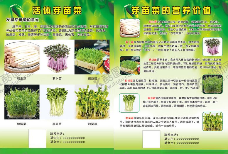 编号：36887209220953179334【酷图网】源文件下载-芽苗菜