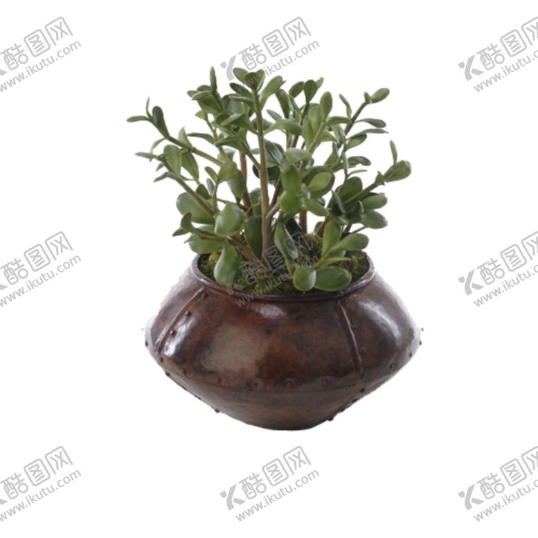 编号：51271809291838579086【酷图网】源文件下载-免抠背景花草树木