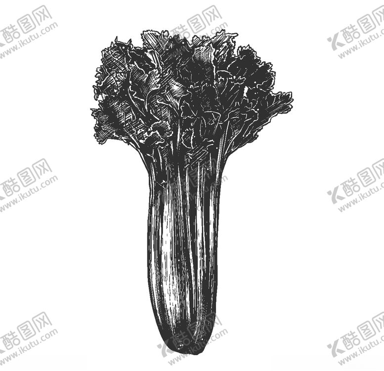 编号：76483510231901001086【酷图网】源文件下载-手绘蔬菜插画