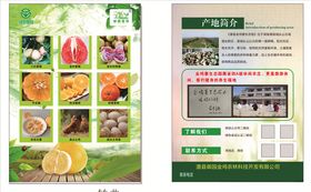 驾校宣传单张设计