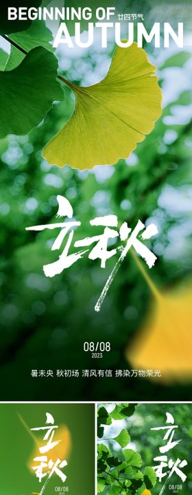 立秋节气海报