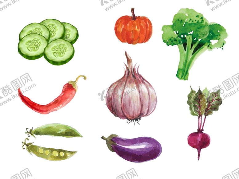 编号：34660909290958222087【酷图网】源文件下载-蔬菜