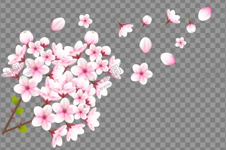 编号：49316212061811482048【酷图网】源文件下载-樱花插画