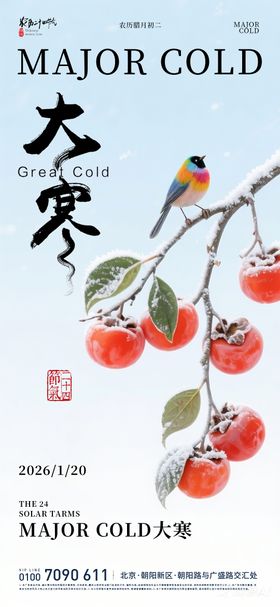 大寒冬天系列海报