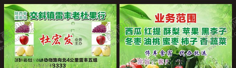 编号：17674109300521557160【酷图网】源文件下载-水果名片