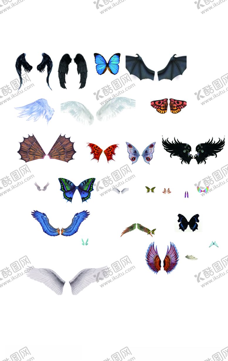 编号：63040010101721083924【酷图网】源文件下载-翅膀