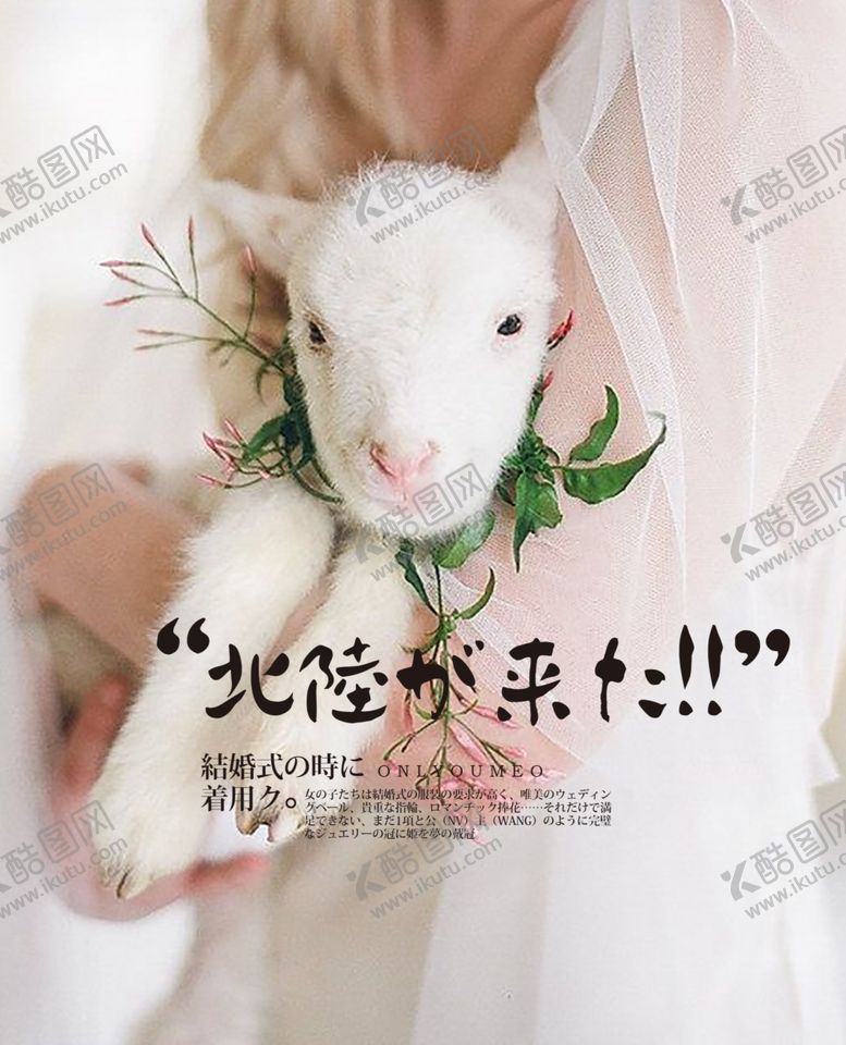 编号：84086609300424191634【酷图网】源文件下载-摄影旅行婚纱写真海报