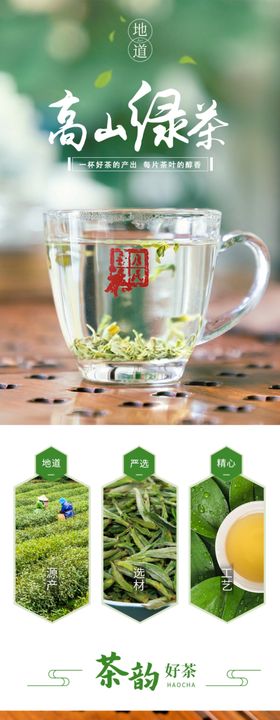 新鲜高山绿茶详情