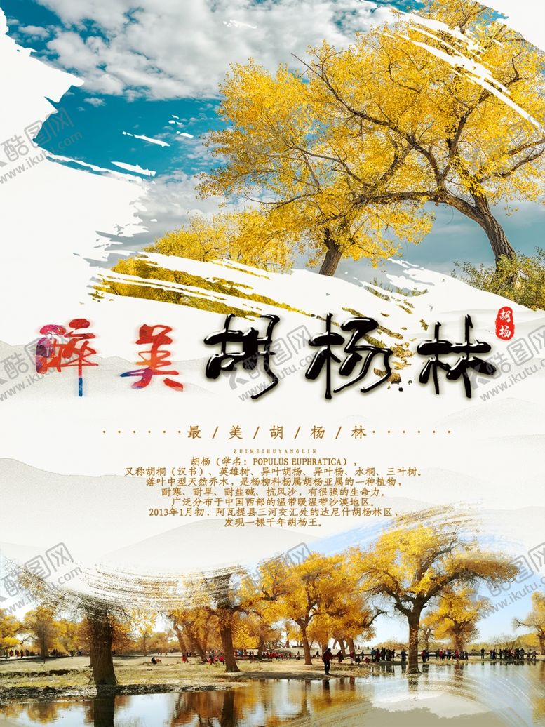 编号：70049510242137528880【酷图网】源文件下载-胡杨林