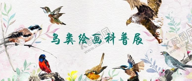 编号：58263810312041336775【酷图网】源文件下载-鸟类绘画科普展分层PSD