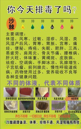 沙健客沙棘排毒展架