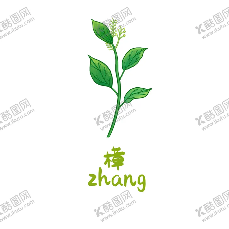 编号：13340903272318108165【酷图网】源文件下载-草本植物药材