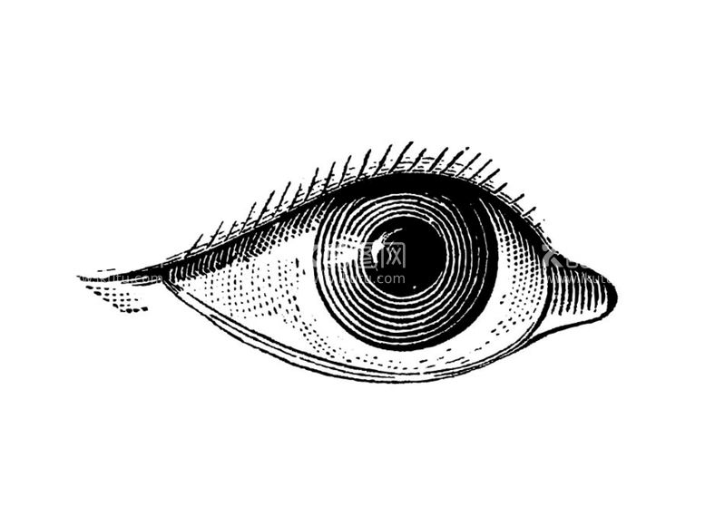 编号：62881111251738227648【酷图网】源文件下载-矢量黑白眼睛