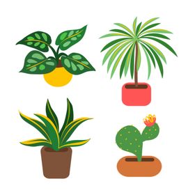 盆栽卡通插图花卉花草
