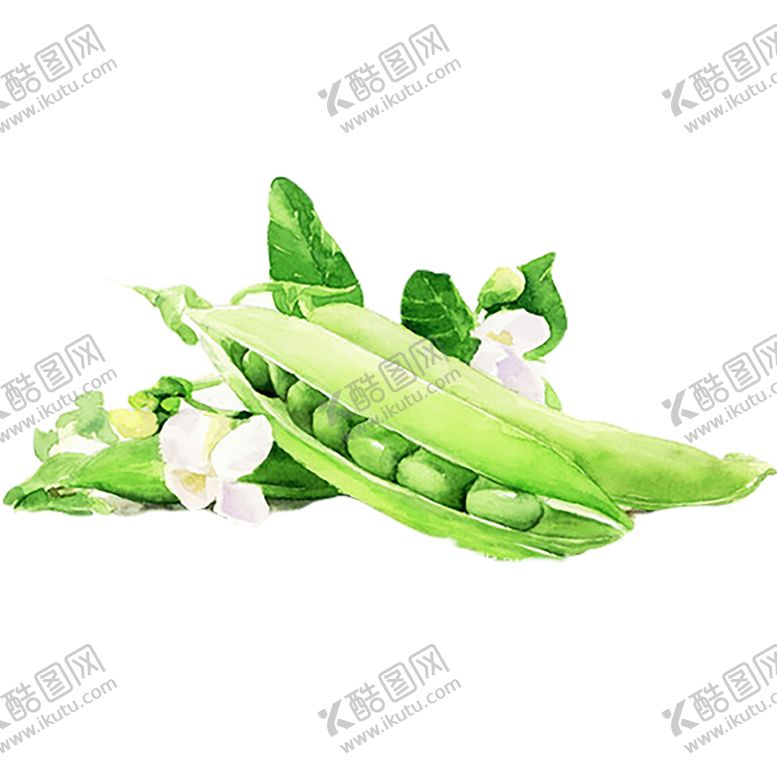 编号：72079310220309049050【酷图网】源文件下载-绿色装饰