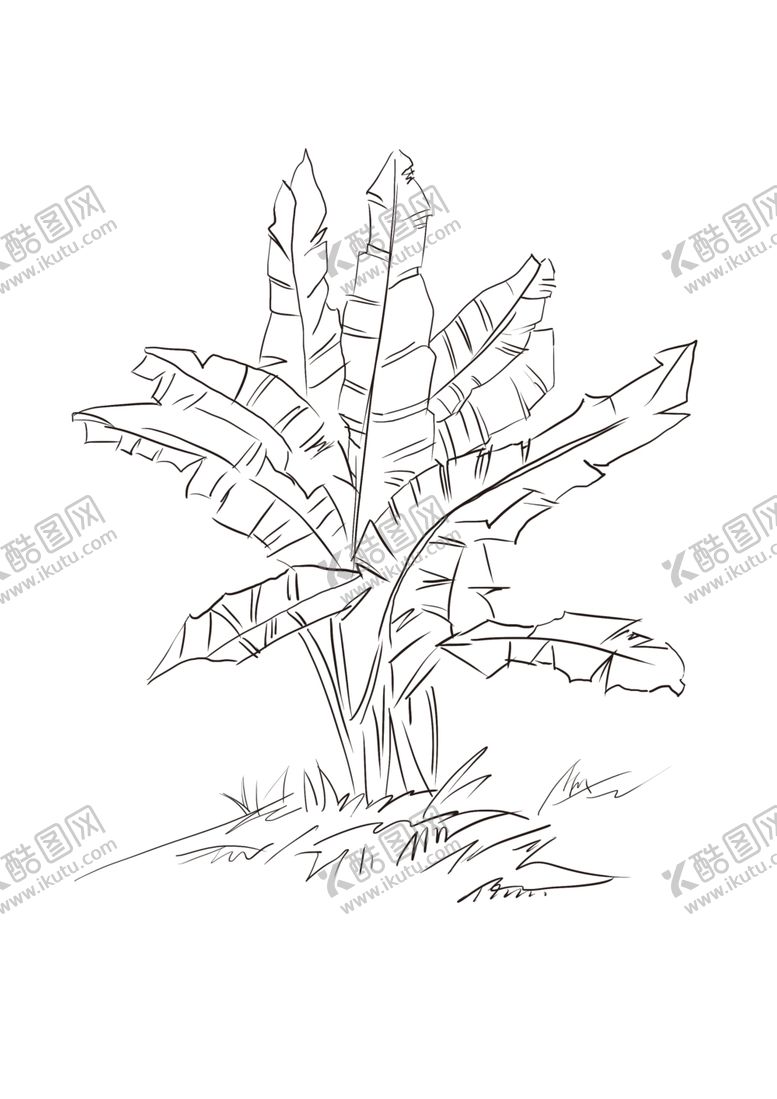 芭蕉叶简笔画分层素材
