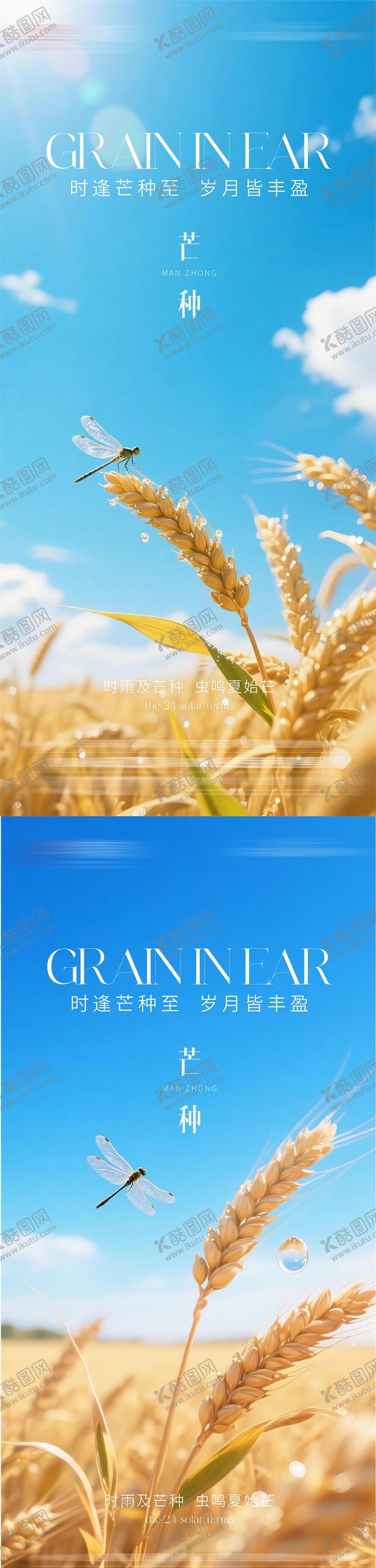 编号：30476005250118434571【酷图网】源文件下载-芒种节气海报