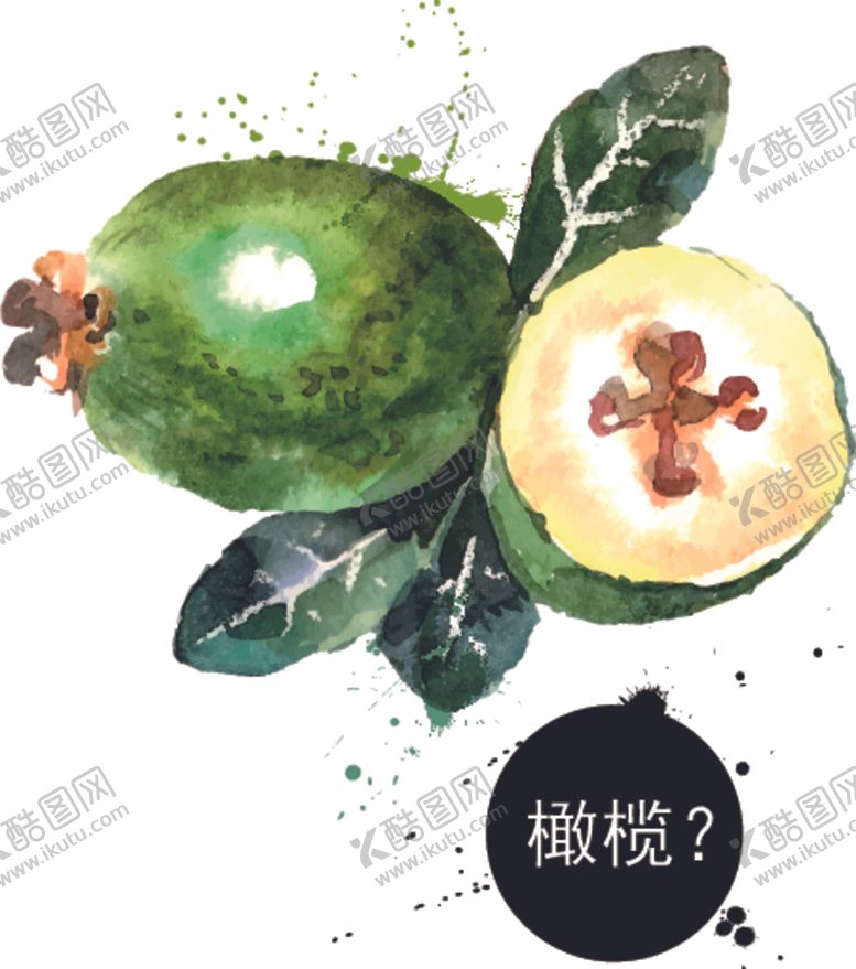 编号：61093209262034177332【酷图网】源文件下载-手绘橄榄插画彩绘水果矢量素材