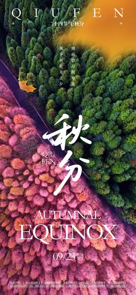 秋分24节气海报