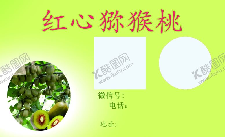 编号：29887904181536445104【酷图网】源文件下载-猕猴桃