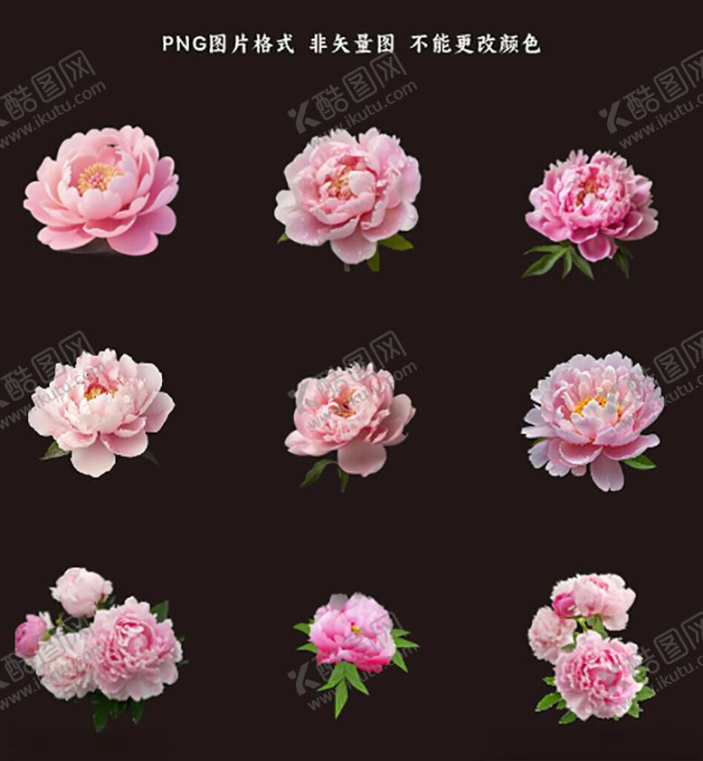 编号：52557204141922127000【酷图网】源文件下载-牡丹花素材