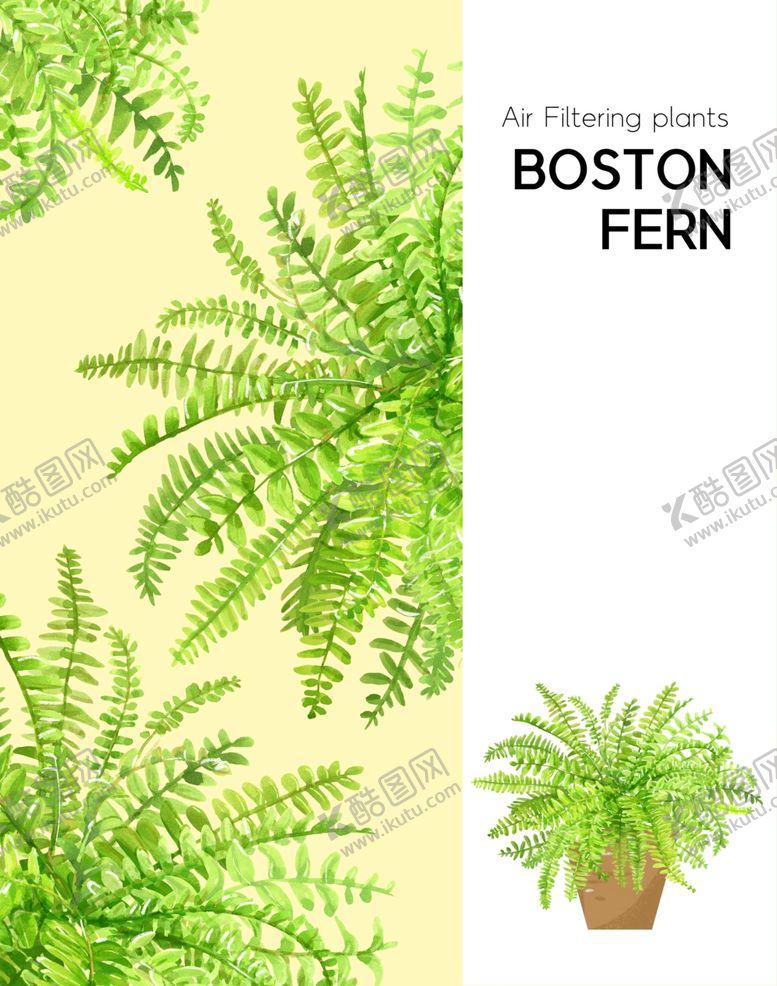 编号：34314810302130186676【酷图网】源文件下载-手绘植物