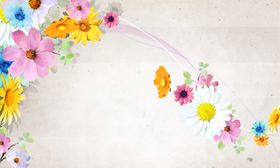 七彩小雏菊