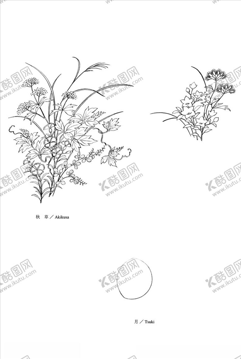 编号：28043710021853087743【酷图网】源文件下载-线描花朵