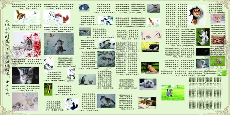 编号：12745310111143543737【酷图网】源文件下载-咏猫