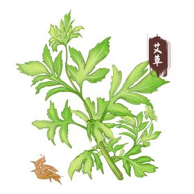 端午节艾草宣传海报