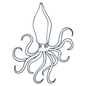手绘海洋生物