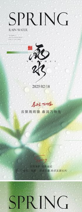 雨水简约意境节气海报