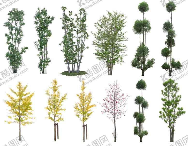 编号：91223412291200235417【酷图网】源文件下载-植物
