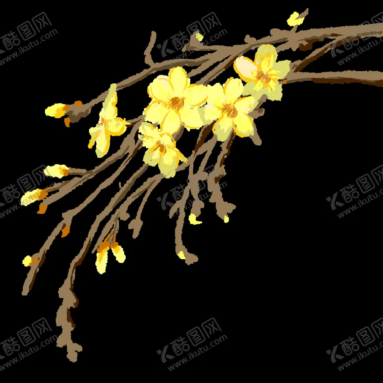 编号：31578510270605597621【酷图网】源文件下载-春天春季迎春花植物花朵鲜花