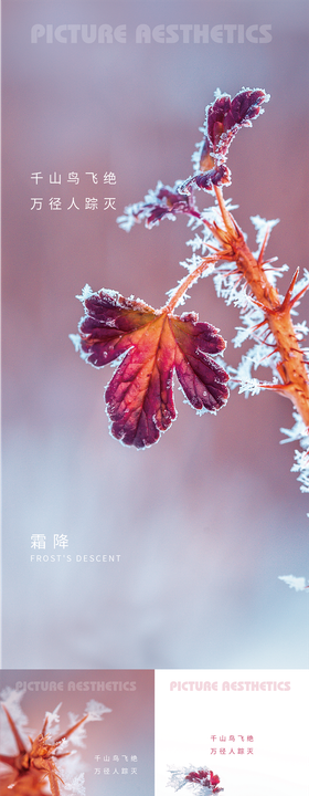 二十四节气霜降海报