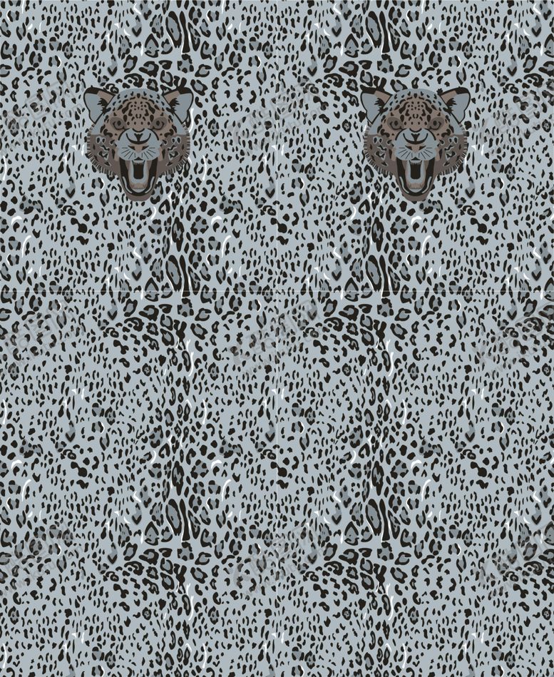 编号：55081609250108433723【酷图网】源文件下载-豹纹女装斑马纹