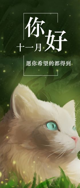 十一月你好