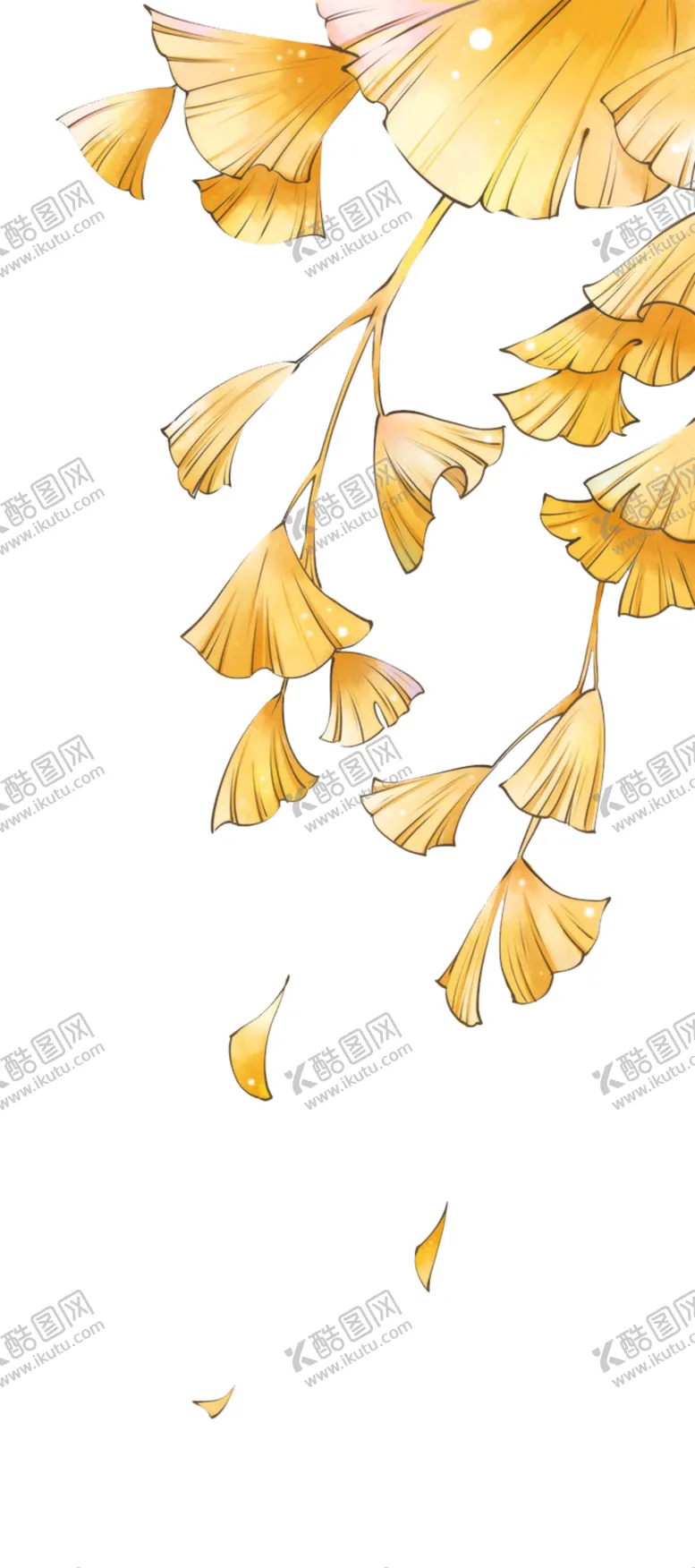 编号：81574806270618404596【酷图网】源文件下载-银杏叶