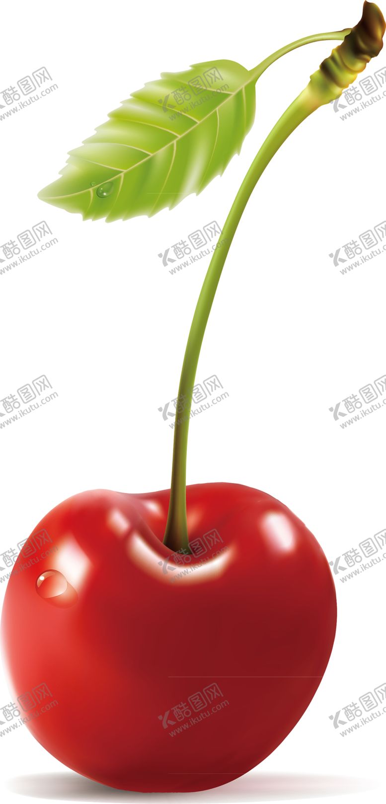 编号：61909607141735487146【酷图网】源文件下载-水果
