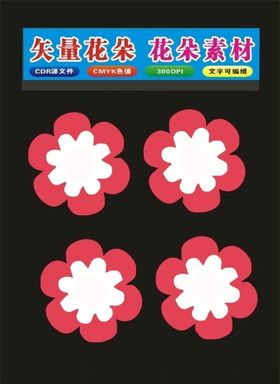 植物标本花朵