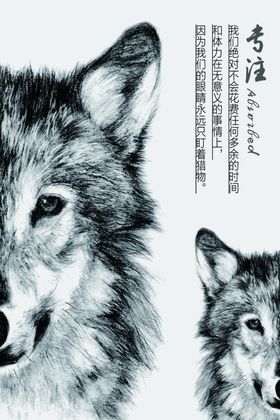 专注系列海报
