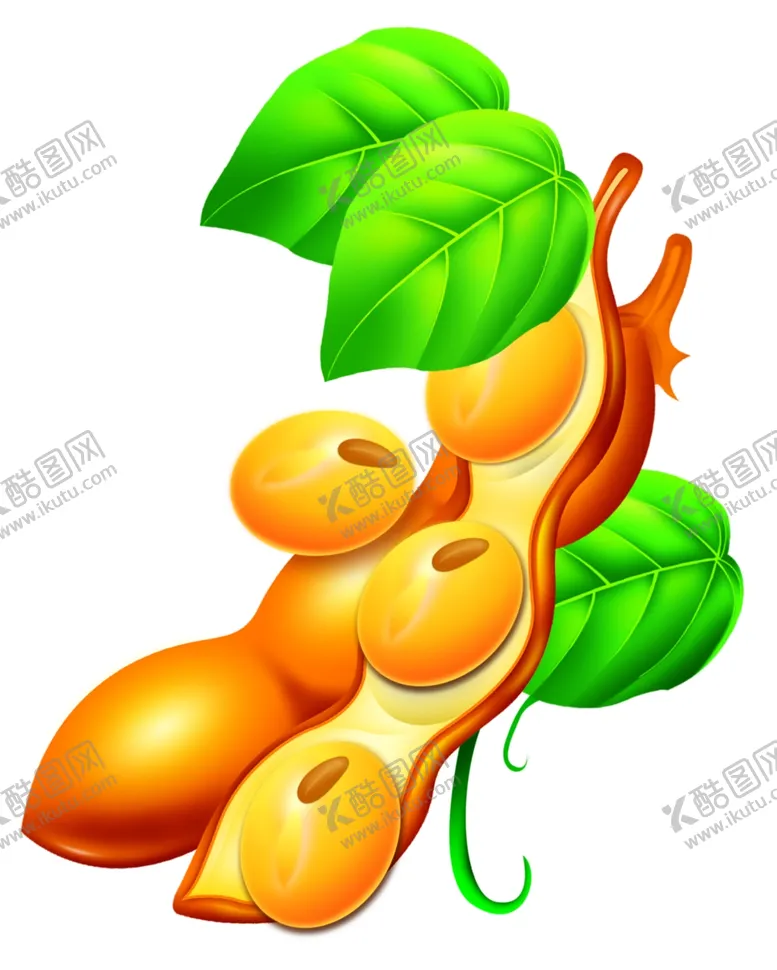 编号：76375702170849218122【酷图网】源文件下载-大豆